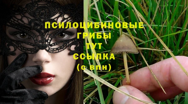 дживик Балахна