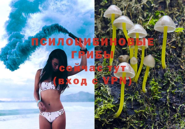 дживик Балахна
