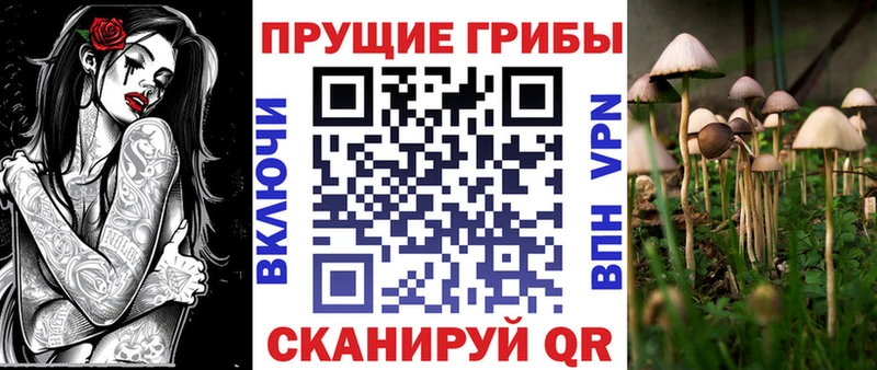 Галлюциногенные грибы Cubensis  купить закладку  Усть-Илимск 